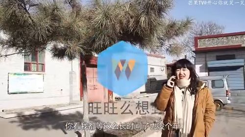 免费短剧，乞丐的入门
