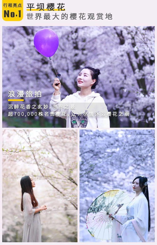 樱花之吻，浪漫之旅免费观看全集