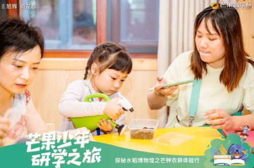 洪天明网络短剧，免费观看的全新体验之旅