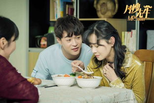 免费观看，上门女婿，透视现代家庭关系的独特视角