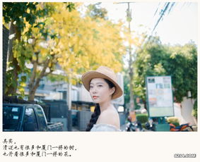 夏日情书，免费观看的短剧全集