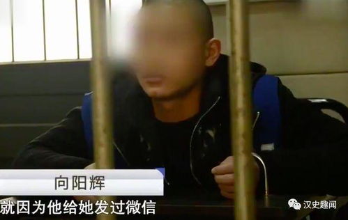 真假男朋友，情感迷局的短剧