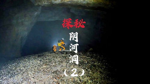 绝境重生，免费高清短剧在线观看