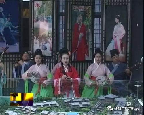 免费观看赘婿短剧，颠覆传统观念的全新体验