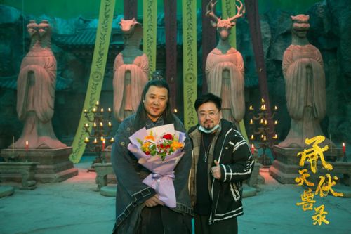 天命龙婿免费短剧，视觉与情感的盛宴