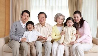 免费观看，婆婆剧情短剧，探索家庭情感新视角