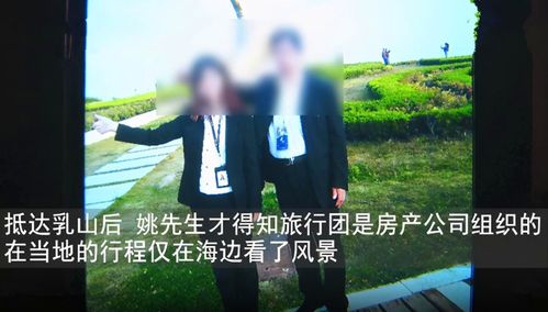 缅甸短剧全集，免费观看的全新体验之旅
