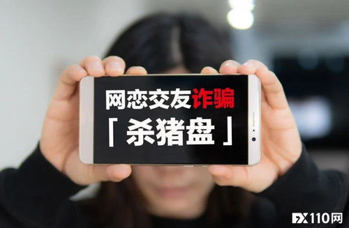 揭秘网恋骗局，如何防范高清陷阱，短剧免费观看指南
