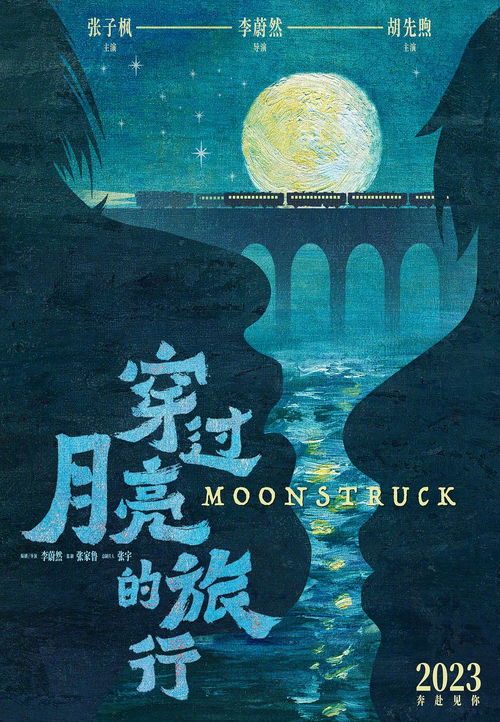 摘星揽月，免费短剧的快乐之旅
