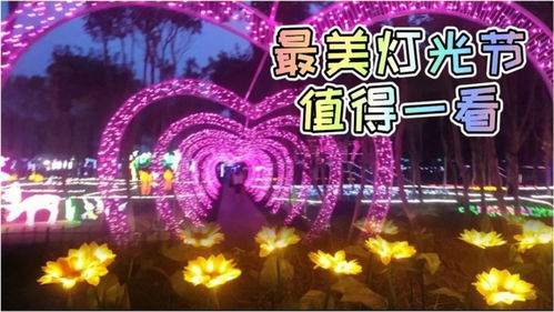 夜晚的精彩世界，免费短剧乐趣无限