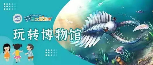 爱的涟漪，免费短剧的魅力探索
