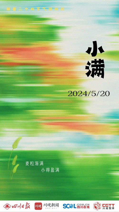 现实人生感悟，免费短剧中的生活智慧探索