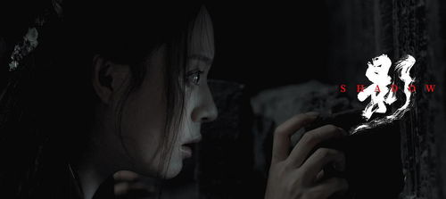 危险前妻，情感纠葛与人生抉择的深度剖析