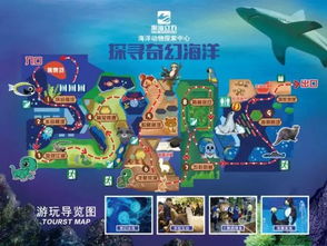 海狮剧场，免费观看，探索与享受的完美结合