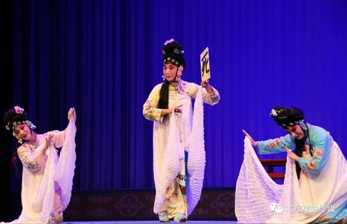 杨洁红衣短剧，免费观看的精彩演绎盛宴