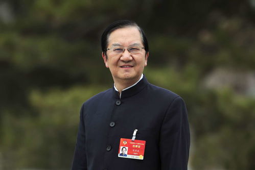 王鹏神医，免费观看的医疗传奇短剧