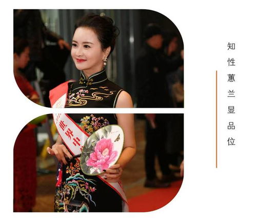 老婆的世界，免费观看短剧中的爱