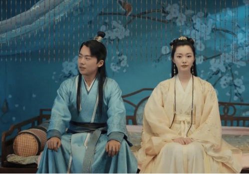 逍遥赘婿，免费全剧观看