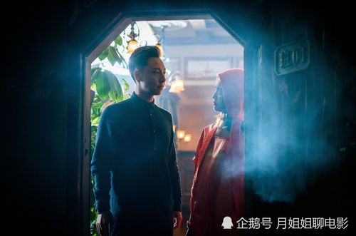 神秘租客，探索未知剧情之旅