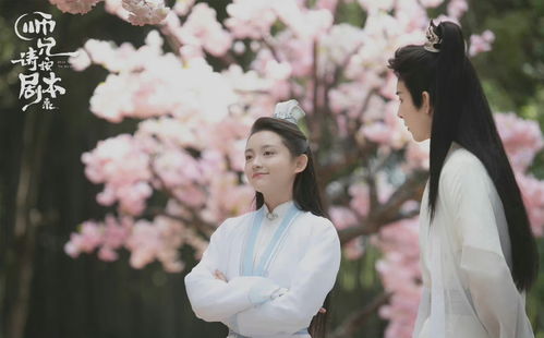 爱上小师妹，免费短剧