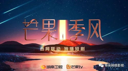 赵文峰短剧免费观看，探索网络影视新风尚