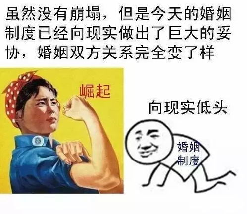 傻婿临门，免费短剧的魅力