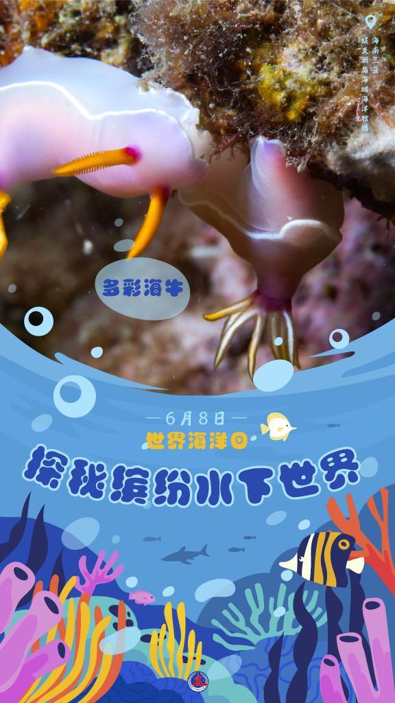免费观看的暴风动漫短剧，精彩世界任你探索