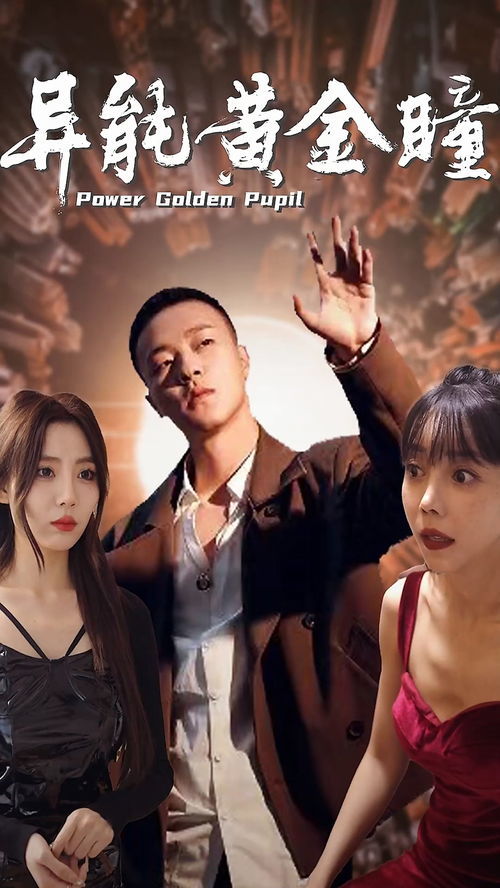 陆瑶短剧免费观看全集，探索现代网络剧的无限魅力