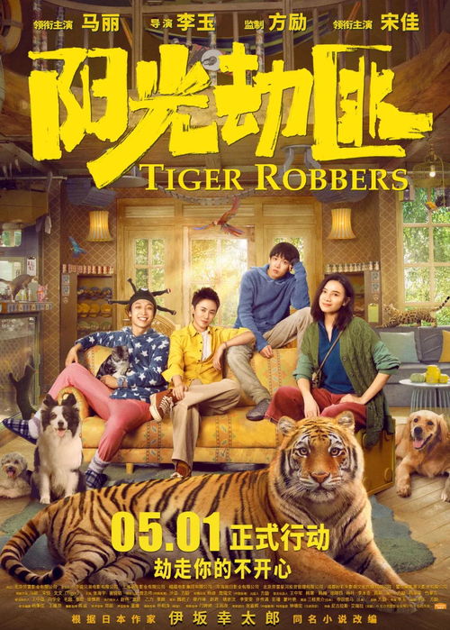 开心短剧，免费收徒，快乐观影之旅