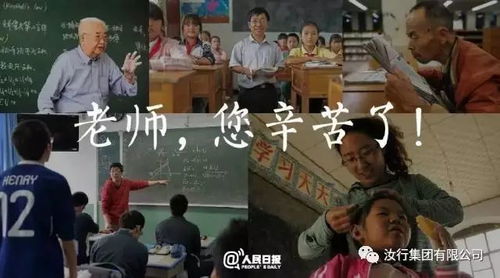 小徐师傅短剧，免费观看，乐趣满载