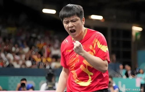 樊振东3-1力克印度选手，国乒荣耀再显