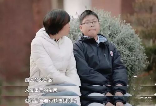 外卖员母亲，一部温暖人心的短剧免费观看指南