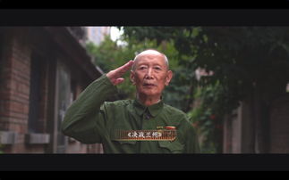 医者无双，感人至深的短剧在线免费观看