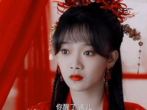 免费观看，嫁给傻王爷