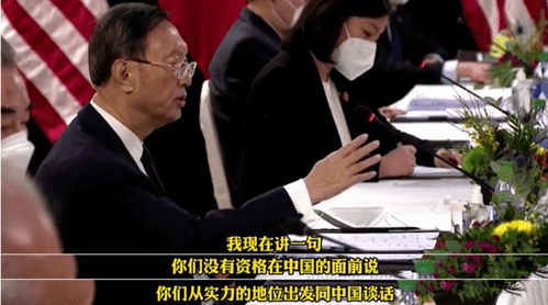 张本智和的翻译之旅，与潘展乐的跨文化对话探索