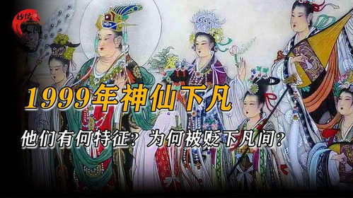 神仙下凡，免费奇幻之旅