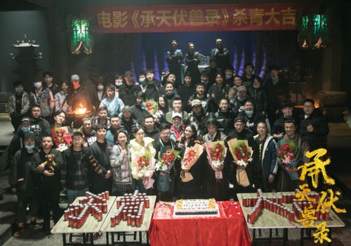 免费观看逆天短剧合集，影视盛宴精彩纷呈