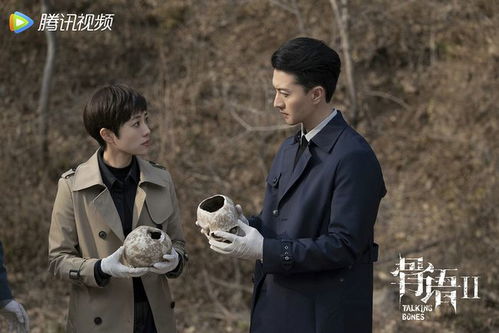 重逢总裁，在线免费观看的精彩故事