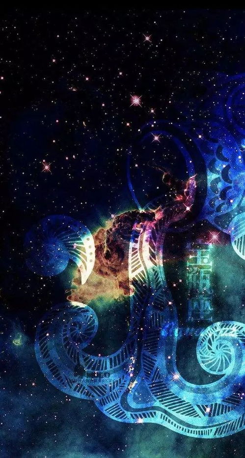 天蝎摩羯之夜，免费短剧欣赏指南