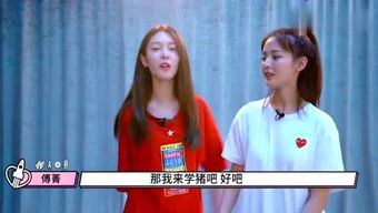 最新阿峰短剧免费观看，探索网络短剧的魅力与便捷体验