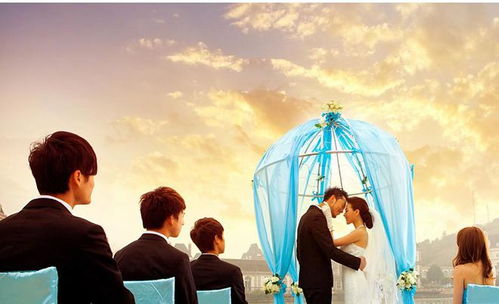 新婚生活，免费观看全集，探索幸福婚姻的点滴之旅