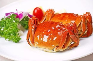 螃蟹短剧合集，免费观看，尽享影视新体验