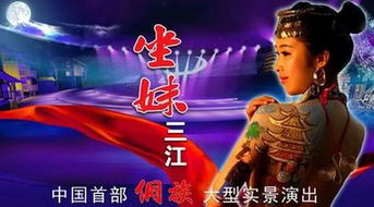 金龙至尊归来，免费短剧精彩体验之旅