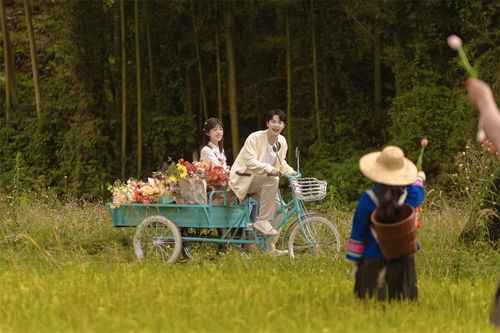 荒野迷路，一部引人入胜的在线免费短剧