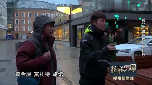 明星复仇记，精彩瞬间免费在线观看