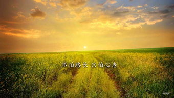 蓝天下免费短剧之旅的魅力