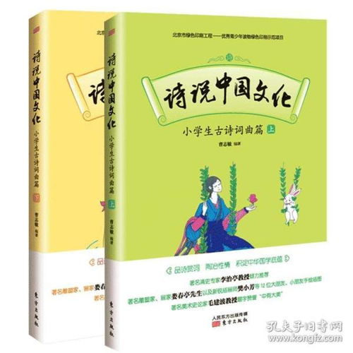 捡筷子文化盛行，短剧合集免费观看指南