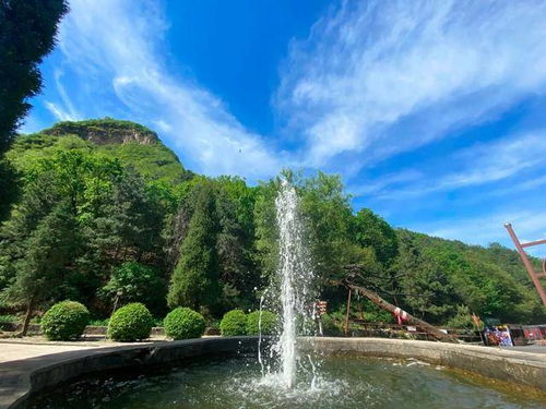 荒唐村全集，免费观看短剧的快乐之旅