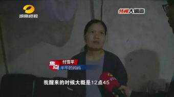 免费观看失踪孩子短剧，人间大搜索的揪心一幕