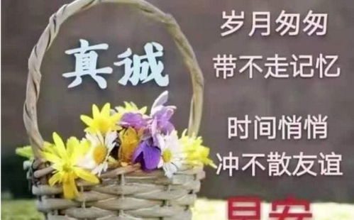 善意相伴，短剧共赏——免费观看高清快乐时光